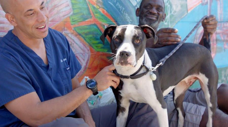 Κτηνίατρος εξετάζει εντελώς δωρεάν αδέσποτα ζώα και συγκινεί το διαδίκτυο