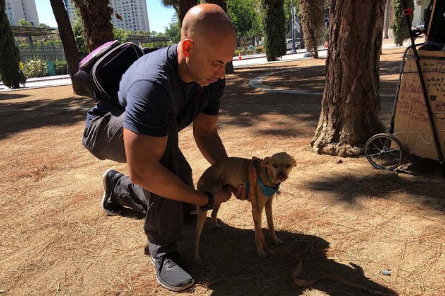 Κτηνίατρος εξετάζει εντελώς δωρεάν αδέσποτα ζώα και συγκινεί το διαδίκτυο