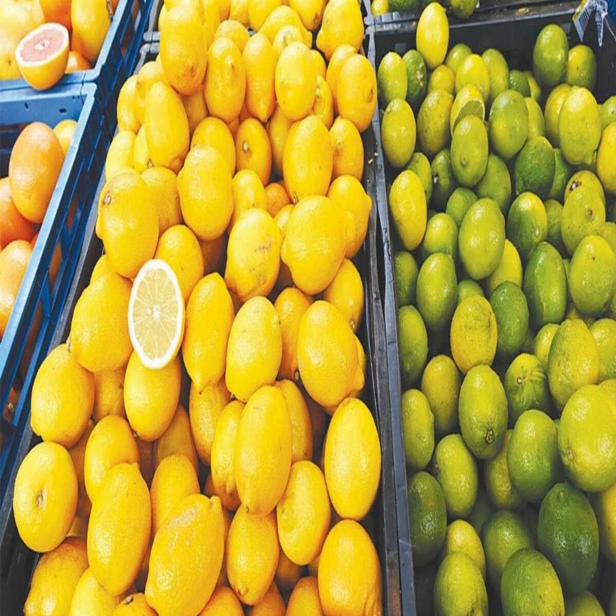 Ελληνικά λεμόνια :Σαπίζουν στα δέντρα και εισάγουμε Τούρκικα