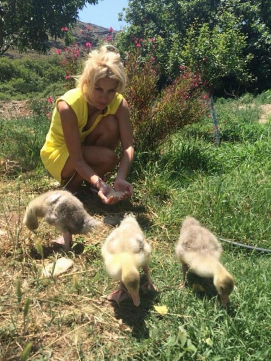 Ελένη Μενεγάκη: Το σπίτι παλάτι στην Άνδρο, η παραμυθένια αυλή και η πανέμορφη φάρμα της