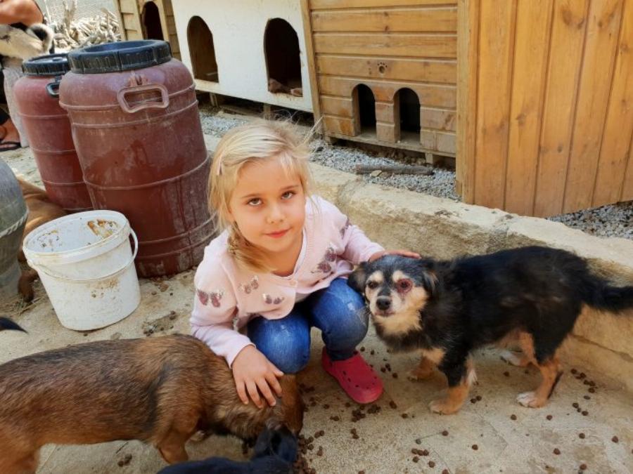 Τάκης Προεστάκης: Άφησε πίσω του τη νύχτα και ξόδεψε πάνω από 180.000 ευρώ για να σώσει τα αδέσποτα