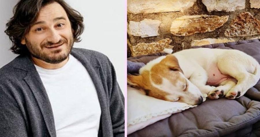 Βασίλης Χαραλαμπόπουλος: Ανέβασε το πιο όμορφο βίντεο με το γλυκό κουτάβι που έσωσε από τα σκουπίδια