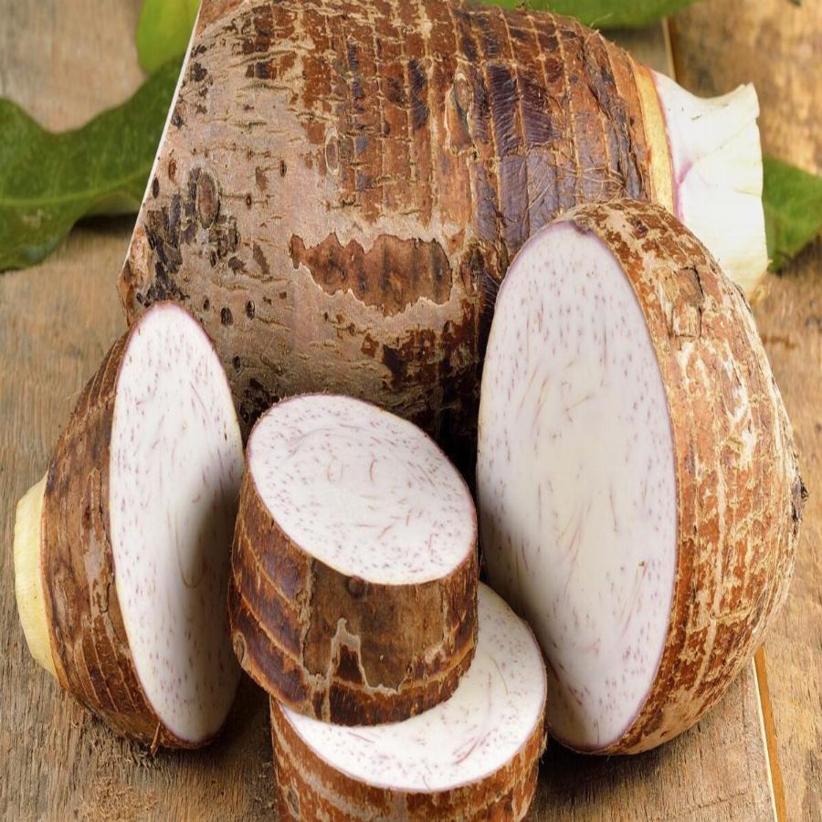 Η άγνωστη υπετροφή της Ικαρίας που θεωρείται ένα από τα μυστικά της μακροζωίας των κατοίκων του νησιού