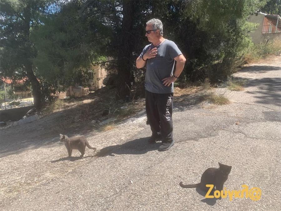 Φωτιά Αλεποχώρι: Ο Νίκος έσωσε μέσα από τις φλόγες τα αδέσποτα ζώα που ταΐζει με αυταπάρνηση