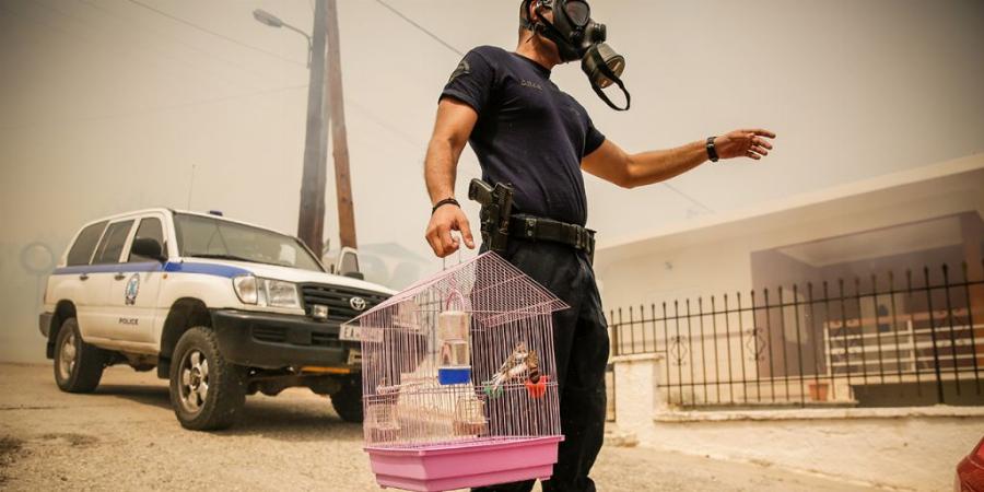 Έλληνες πυροσβέστες: Οι «Ταβλαδόροι» που παίζουν στα ζάρια την ζωή τους για να μας σώνουν