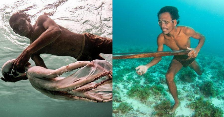 Τσιγγάνοι της θάλασσας: Είναι γενετικά μεταλλαγμένοι, ζούνε μέσα στο νερό, ταξιδεύουν σε ομάδες και στη στεριά τους πιάνει ναυτία