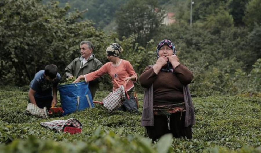 Δεν μιλάνε μόνο σφυρίζουν: Το άγνωστο ελληνικό χωριό κοντά στην Αθήνα με τη μοναδική σφυριχτή γλώσσα που κινδυνεύει να εξαφανιστεί