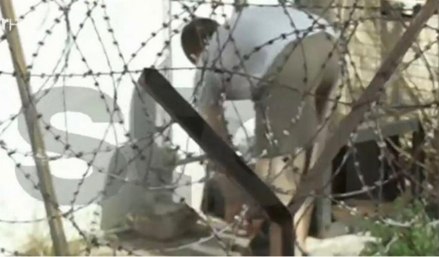 Γλυκά Νερά: O συζυγοκτόνος βάζει νερό σε γατάκια μέσα στις φυλακές Κορυδαλλού