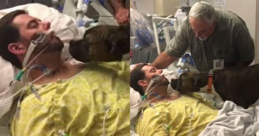 Η σπαρακτική στιγμή  που σκύλος αποχαιρετά στο νοσοκομείο το ετοιμοθάνατο αφεντικό του