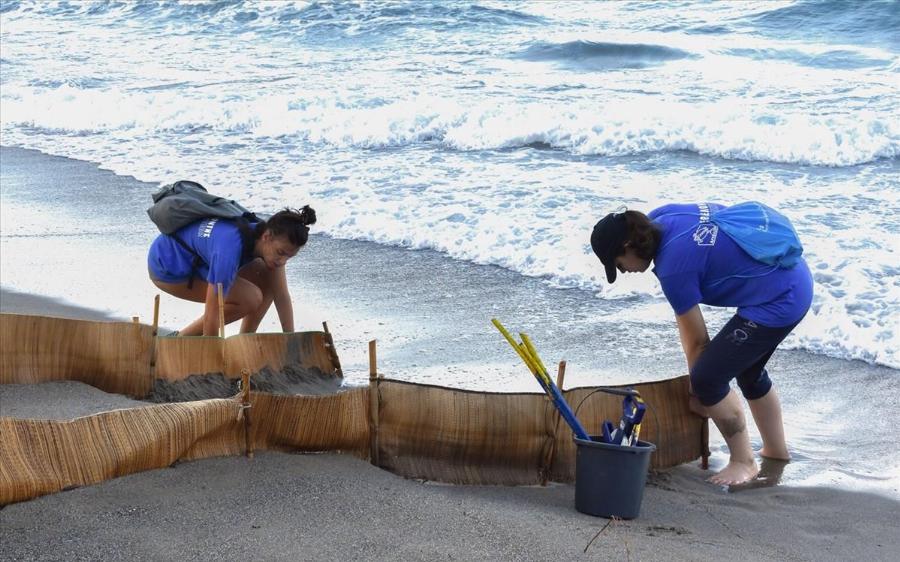Aπροσδόκητος «επισκέπτης» στη Λούτσα: Καρέτα-καρέτα άφησε τα αβγά της στην παραλία