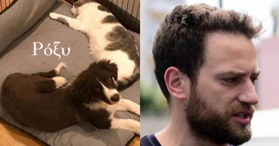 Η πρώην αδέσποτη Ρόξυ, η σκυλίτσα που κρέμασε ο σύζυγος- δολοφόνος της Καρολάιν