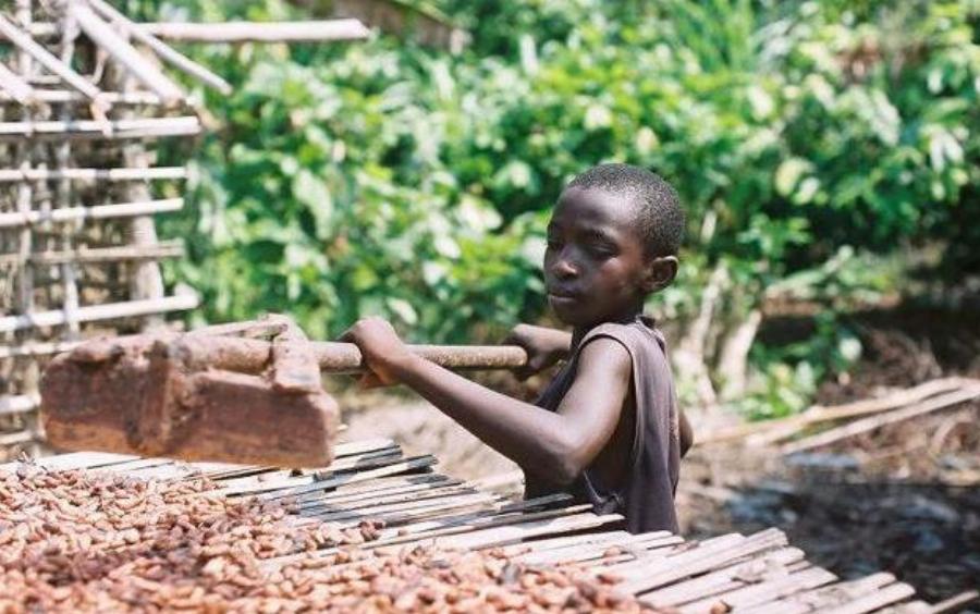 «Όταν ο κόσμος τρώει σοκολάτα, τρώει τη σάρκα μου». Η μαρτυρία ενός παιδιού σκλάβου στις φυτείες που προμηθεύουν κακάο τις βιομηχανίες.