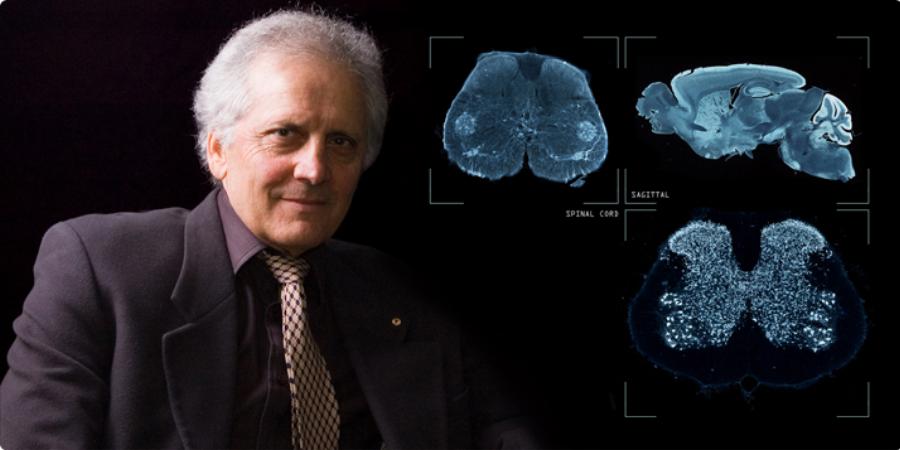 «Δεν Υπάρχει Ψυχή, όλα πηγάζουν από τον εγκέφαλο» λέει ο κορυφαίος Έλληνας νευροεπιστήμονας Γιώργος Παξινός