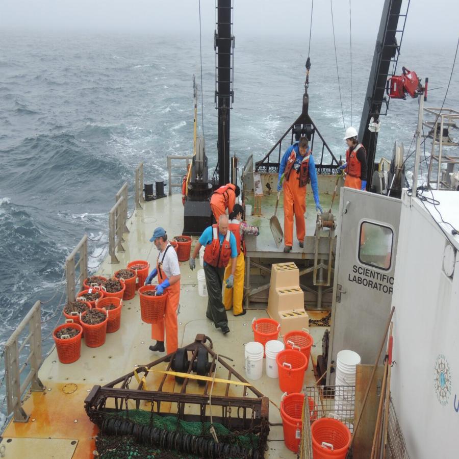 Ένα βίντεο αφιερωμένο στην περηφάνια και τη λεβεντιά των Ελλήνων ναυτικών