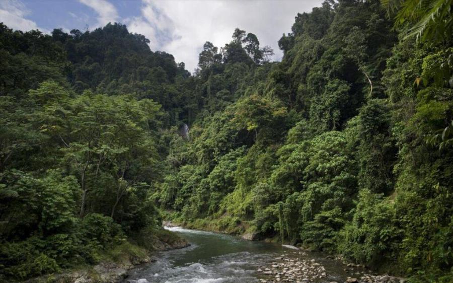 Νορβηγία: Δίνει το παράδειγμα – Η πρώτη χώρα που απαγόρευσε την αποψίλωση των δασών