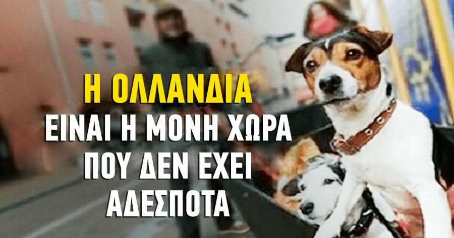 Ολλανδία: 7 υπέροχοι λόγοι που είναι η χώρα του μέλλοντος