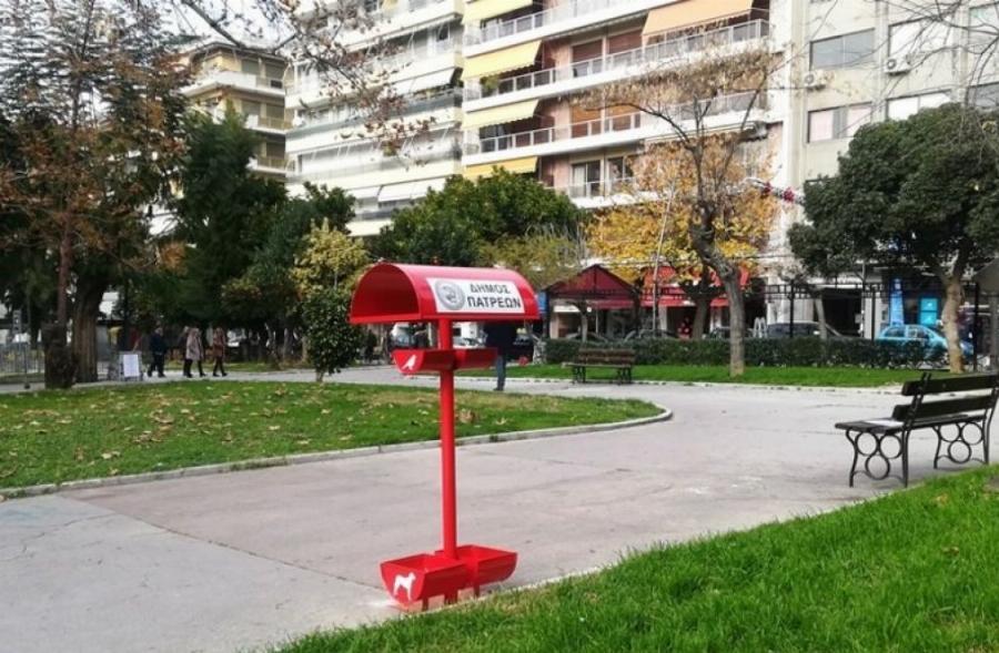 Χίλια Μπράβο στην Πάτρα: Τοποθέτησαν τις πρώτες ταίστρες για αδέσποτα