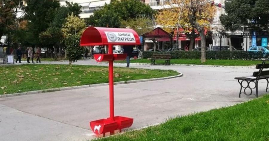 Χίλια Μπράβο στην Πάτρα: Τοποθέτησαν τις πρώτες ταίστρες για αδέσποτα