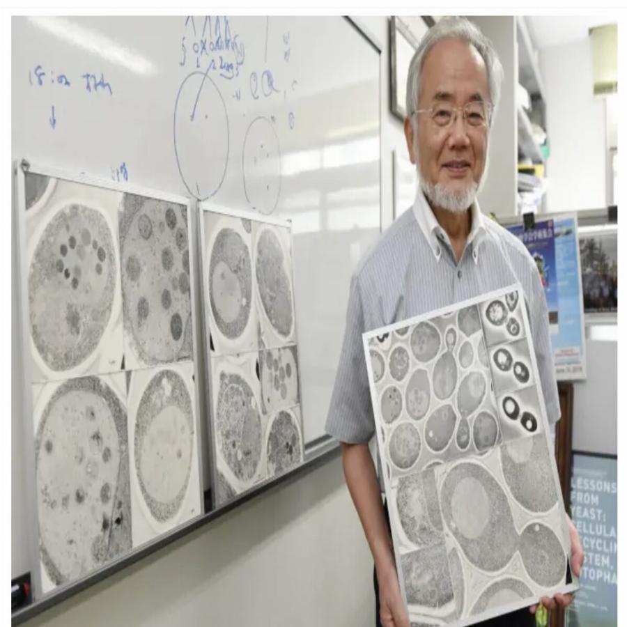 Δεν θα άντεχες 24 ώρες: Η σούπερ δίαιτα που μετέτρεψε τον Τζόκοβιτς σε “ρομπότ”