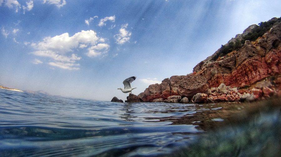 Αλεξανδρούπολη: Ασύλληπτη τραγωδία – Πνίγηκε 6χρονο παιδάκι