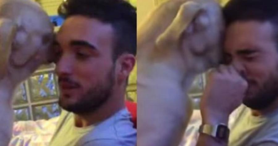 Σκύλος παρακαλάει το αφεντικό του να τον συγχωρέσει – Το βίντεο με τα 9 εκατομμύρια προβολές