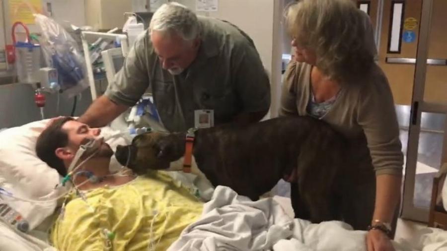 Η σπαρακτική στιγμή  που σκύλος αποχαιρετά στο νοσοκομείο το ετοιμοθάνατο αφεντικό του