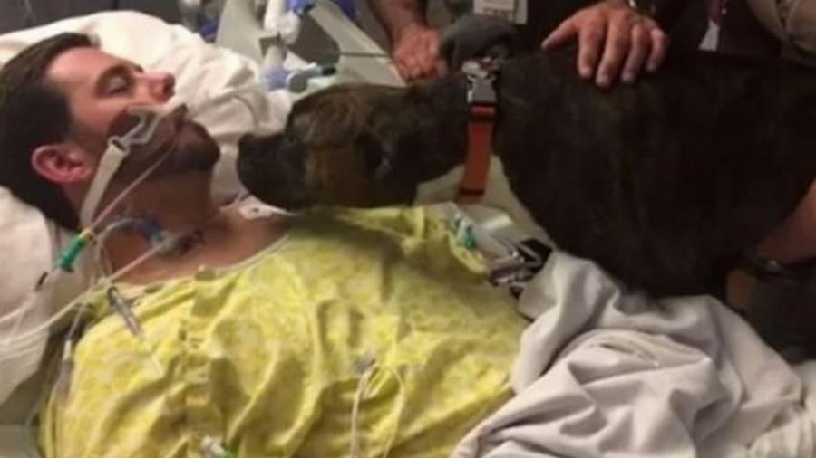 Η σπαρακτική στιγμή  που σκύλος αποχαιρετά στο νοσοκομείο το ετοιμοθάνατο αφεντικό του