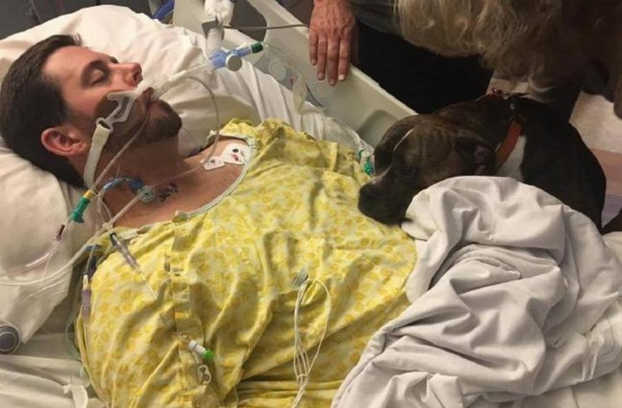 Η σπαρακτική στιγμή  που σκύλος αποχαιρετά στο νοσοκομείο το ετοιμοθάνατο αφεντικό του