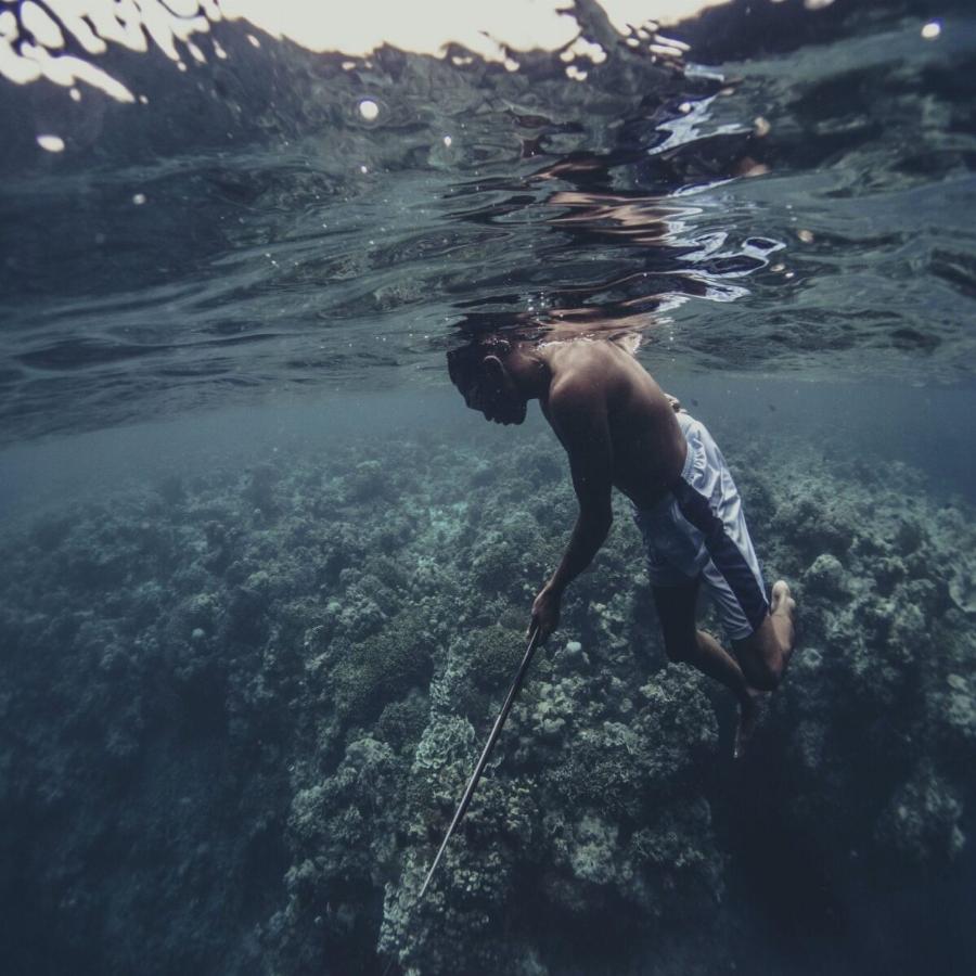 Τσιγγάνοι της θάλασσας: Είναι γενετικά μεταλλαγμένοι, ζούνε μέσα στο νερό, ταξιδεύουν σε ομάδες και στη στεριά τους πιάνει ναυτία