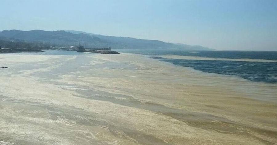 Λήμνος: Έφτασε στο νησί η βλέννα της Κωνσταντινούπολης