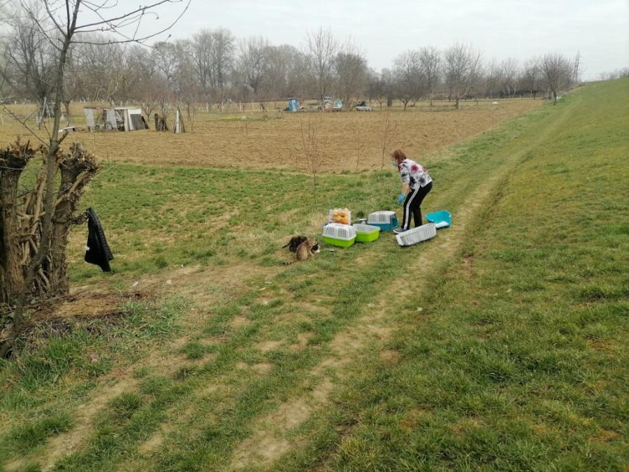 Δύο αδέρφια από τη Ρουμανία φροντίζουν αμέτρητα αδέσποτα και φιλοξενούν άρρωστα στο καταφύγιο που έχουν φτιάξει