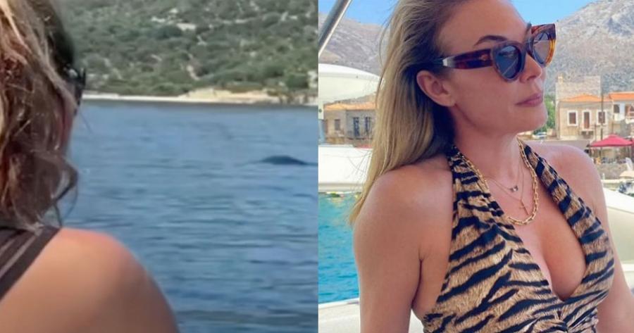 Τατιάνα Στεφανίδου: Συναντήθηκε τυχαία με φώκια σε παραλία – Η υπέροχη αντίδρασή της