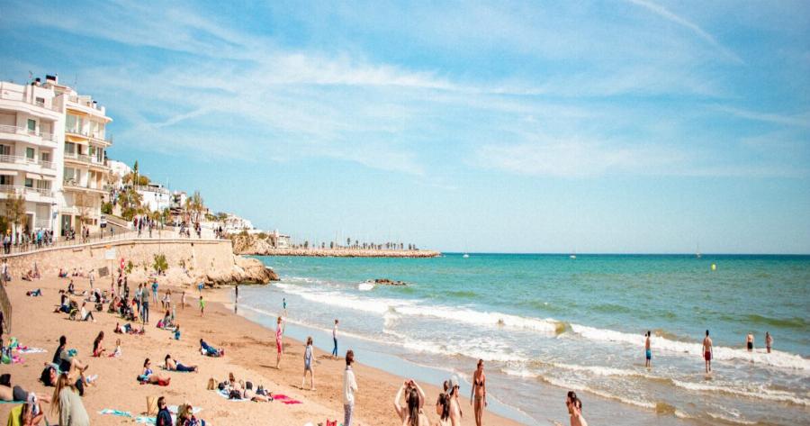 Γέμισε με αίμα η παραλία: Άνδρας χτύπησε μέχρι θανάτου με παιδικό φτυάρι γλάρο