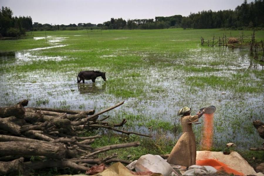 Η σκληρή καθημερινότητα, κοριτσιών που παντρεύτηκαν πριν τα 15, μέσα από ένα φωτογραφικό πρότζεκτ