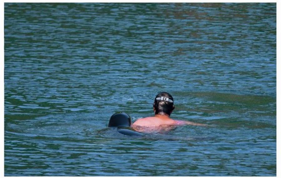 Αλόννησος: Φώκια μονάχους μονάχους επιτέθηκε σε λουόμενο – Φουσκωτό έσπευσε να τον σώσει