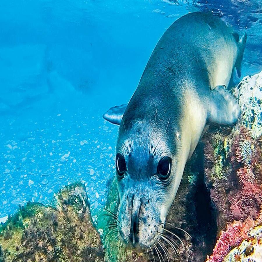 Μπράβο γελοίε υπάνθρωπε.. τα κατάφερες πάλι.