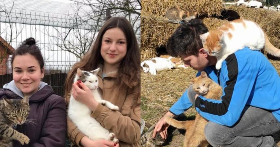 Δύο αδέρφια από τη Ρουμανία φροντίζουν αμέτρητα αδέσποτα και φιλοξενούν άρρωστα στο καταφύγιο που έχουν φτιάξει