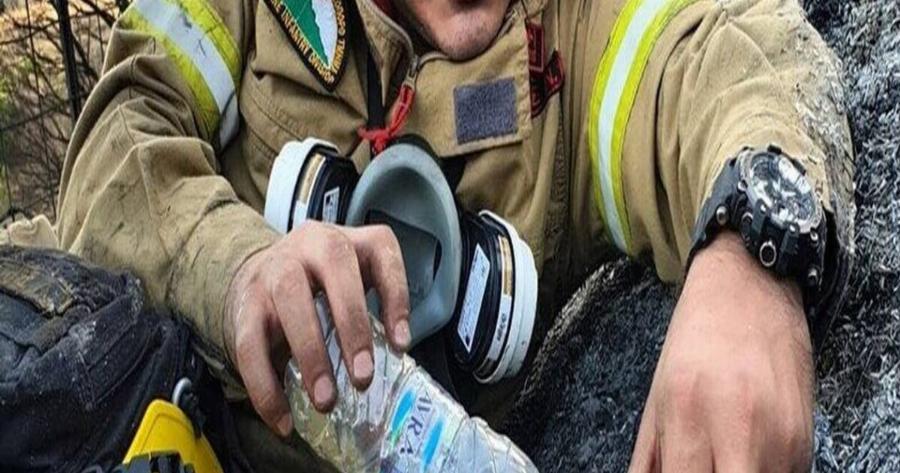 Φωτιές Αχαΐα: Παράδειγμα ανθρωπιάς – Ο πυροσβέστης με τη χελώνα μέσα στην πυρκαγιά