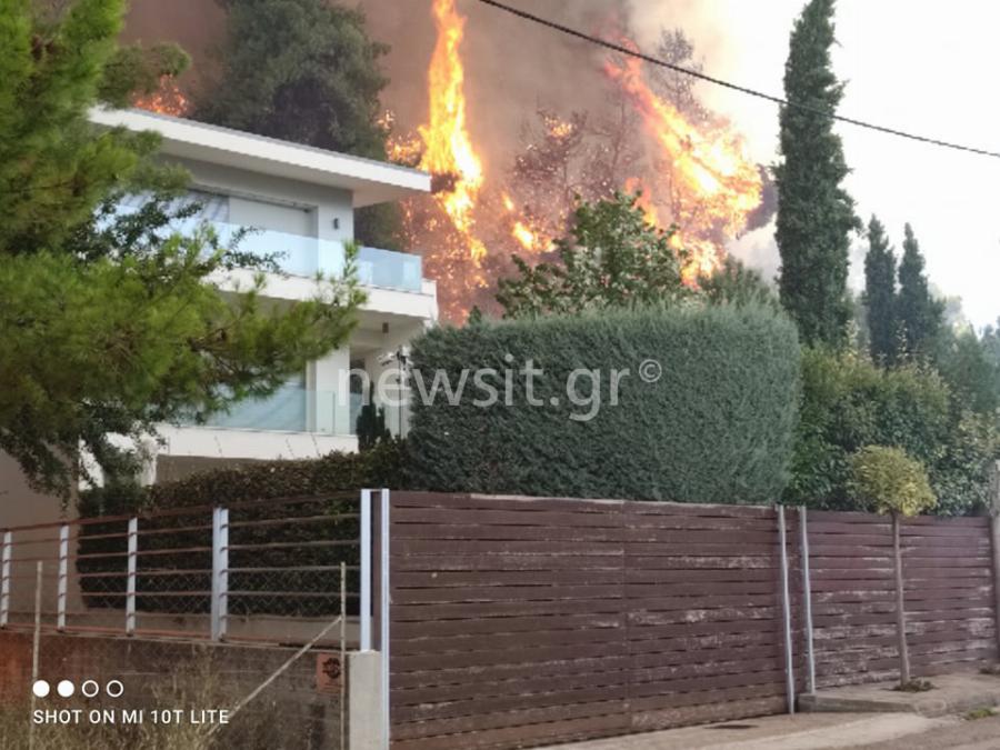 Σταμάτα: Μέσα στα σπίτια η φωτιά! Κάτοικοι φεύγουν για να σωθούν