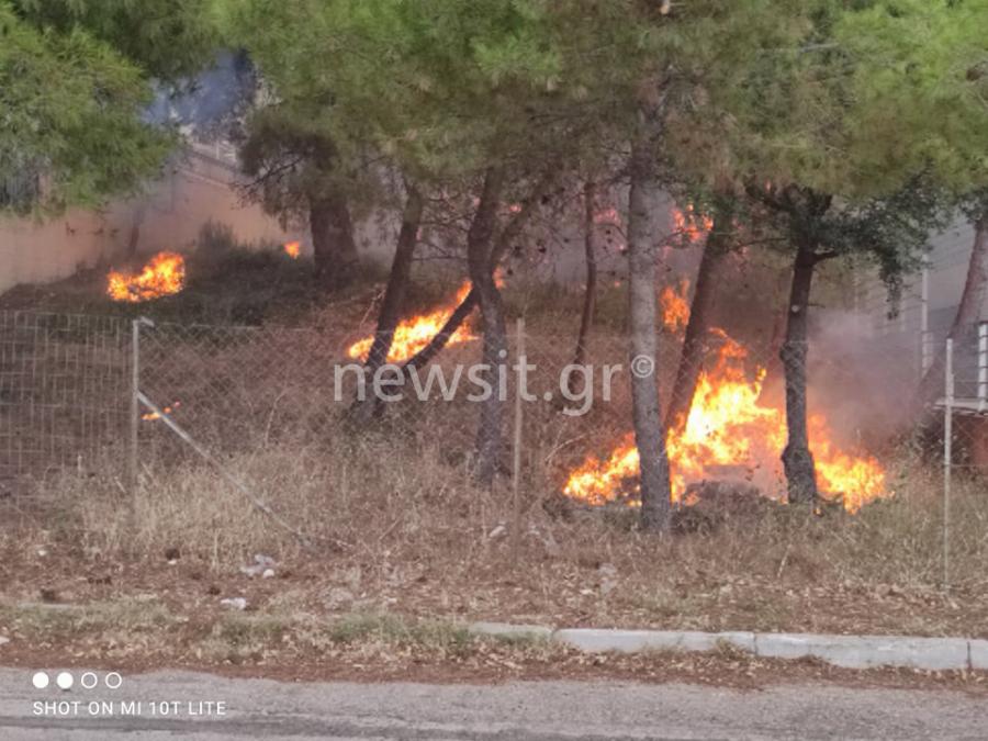 Σταμάτα: Μέσα στα σπίτια η φωτιά! Κάτοικοι φεύγουν για να σωθούν
