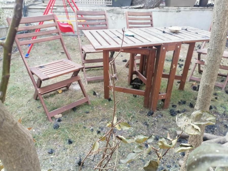 Μικρούλι γατάκι γεμάτο εγκαύματα σώθηκε στις φωτιές στη Βαρυμπόμπη