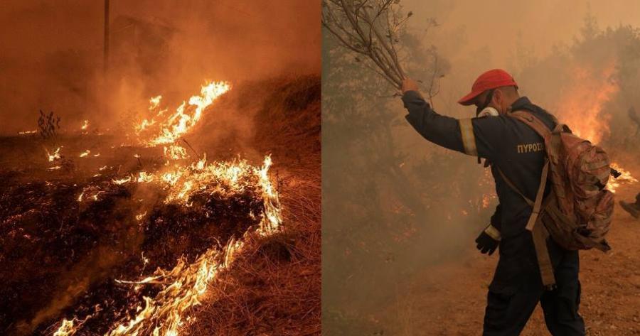 «Μου αρέσουν οι φωτιές γι’ αυτό τις βάζω»: Σοκάρει η ομολογία του 14 χρόνου εμπρηστή