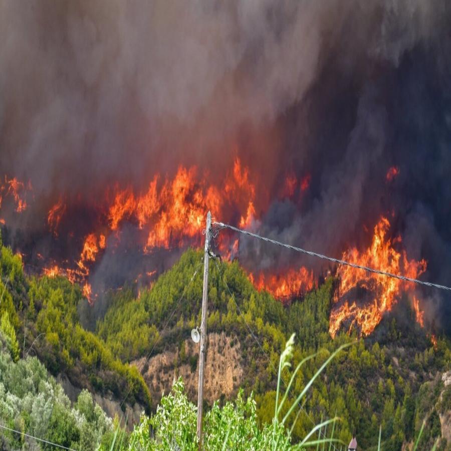 Μαρτυρία γυναίκας στην Αρχαία Ολυμπία: “Δεν μας βοήθησαν, οι κάτοικοι έσβησαν τη φωτιά”