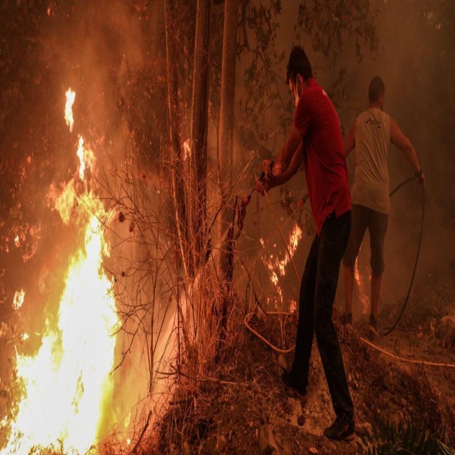 «Μου αρέσουν οι φωτιές γι’ αυτό τις βάζω»: Σοκάρει η ομολογία του 14 χρόνου εμπρηστή