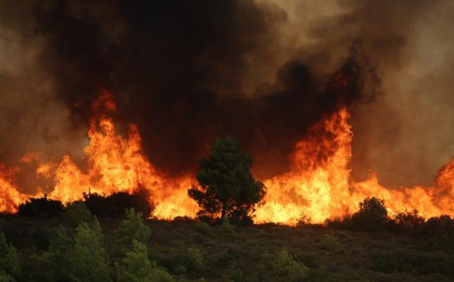 Ναι, εγώ έβαλα τη φωτιά στην Βαρυμπόμπη…