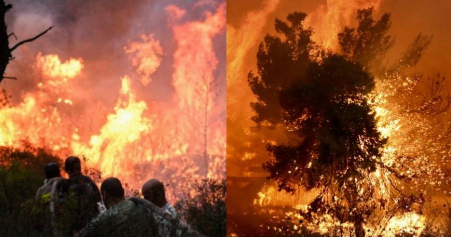 «Αναγνωρίσαμε τη γυναίκα μου όταν έδωσε η κόρη μας DNA – Είστε τραγικοί να συγκρίνετε»