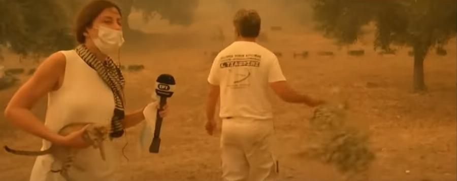 Εύβοια: Ρεπόρτερ της ΕΡΤ σώζει live γατάκι μέσα από τις φλόγες