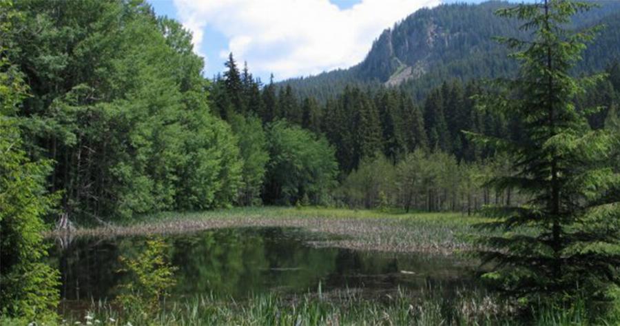 Φωτιά: Τι κάνει τα ατέλειωτα βουνά της Βουλγαρίας να μην καίγονται όπως της Ελλάδας