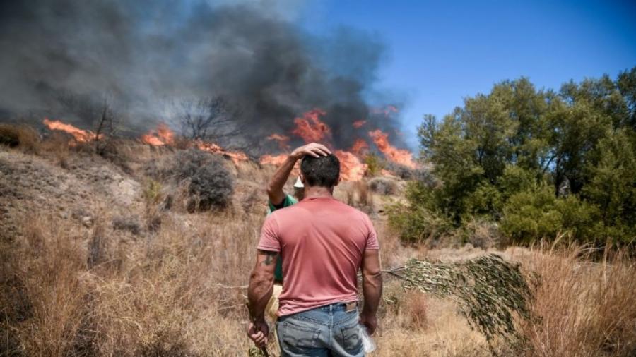 Βίντεο από τα Βίλια που κόβει την ανάσα: Στρόβιλος φωτιάς εκτόξευσε κορμό δέντρου προς τους πυροσβέστες