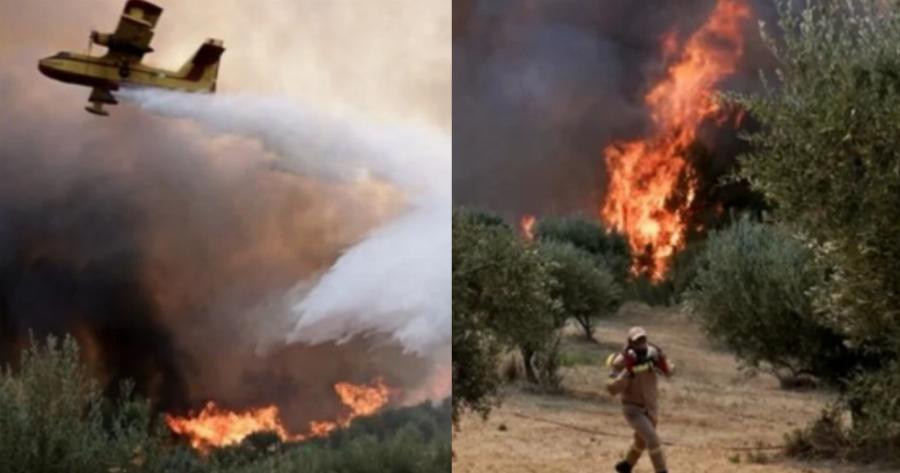 Ηλεία: Λεπτό προς λεπτό η σωτηρία επέμβαση πιλότου για να σώσει κατοικία